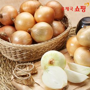 [우체국쇼핑][푸드빌리지] 저장 가능한 양파 3kg (소/중/대)