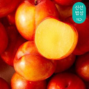 [산지발송] 새콤달콤 여름의 향기 가득한 햇자두 300g+300g,16~20과, 총600g