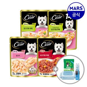 NEW 시저 파우치 70gx16개 골라담기+아이엠즈 100g+애견용칫솔1개+베베숲물티슈1개