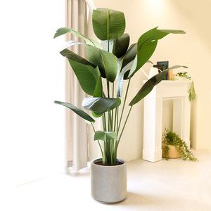 인테리어 인조나무 조화화분 극락조 헬리코니아 220cm