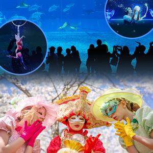 |한정| 제주 완전정복 폭삭 내려수다 아쿠아플라넷 제주 X 에코랜드 테마파크 신규컨텐츠 오픈 기념 (~6/30사용가능) (가볼만한곳/관광/투어/자유여행/가족/친구/연인/아이와함께)
