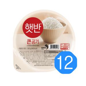 CJ제일제당 햇반 큰공기 300g x 12입