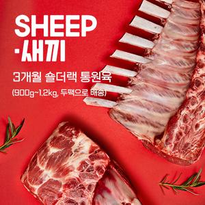 [SHEEP새끼] 통원육 3개월미만 숄더랙- 어린양 양갈비 프리미엄 토마호크 캠핑 코스트코 양고기 쉽새끼