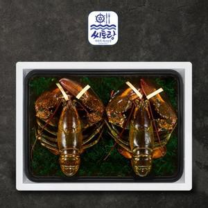 [씨토랑]프리미엄 활랍스터세트 라지 2미 2.0kg 마리당900-1 100g