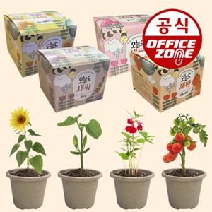새싹키우기 재배 화분키트 모종 기르기 원예체험 자연관찰탐구학습생활 반려식물