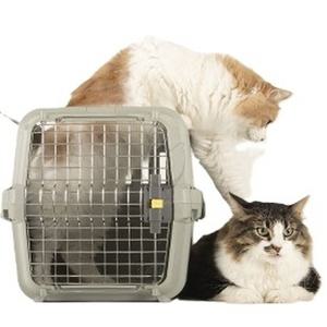 더블도어 이동장 S 7KG 이하 소형견켄넬 고양이캐리어 고양이이동장