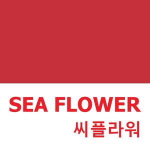 부산출발 씨플라워 가볍게 떠나는 대마도 2일(일본 선박여행 배편)
