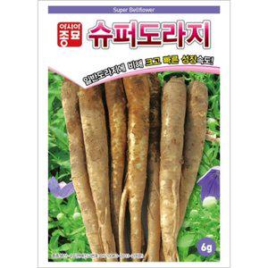 아시아종묘 씨앗 도라지 슈퍼도라지 500g