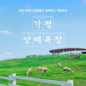 가평 양떼목장 이용권 (5/1~5/31)