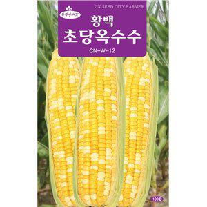[영농사]황백 초당옥수수 씨앗 100립