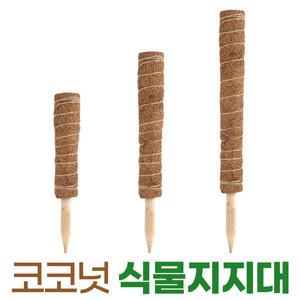 코코넛 식물 지지대 지주대 수태봉 넝쿨 몬스테라 원예