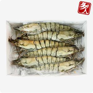 다인 대왕 블랙타이거 새우 6미 500g 킹타이거새우 킹블랙타이거 대왕새우 생새우 냉동새우 캠핑새우구이