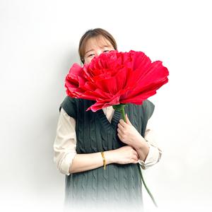 주름지꽃 카네이션종이꽃 자이언트꽃