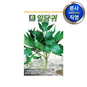 [다농]일당귀 씨앗 2g , 잎당귀 야채 채소 텃밭 파종 재배 주말 농장 씨 종자,