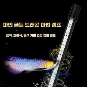 마인 태닝등 용어 혈앵무 아로와나 고배 금용 수중등