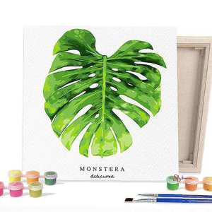 DIY 25X25 보태니컬 몬스테라 페인팅 캔버스hij353