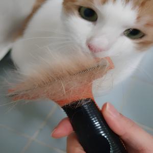 [특별최대행사가~20%]에어아치 퍼미네이터 강아지 고양이 단모 빗 털 제거기 장모 브러쉬 죽은털 애견 엉킨털 관리