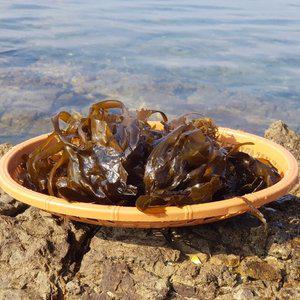통영 한산도 생 미역 2kg