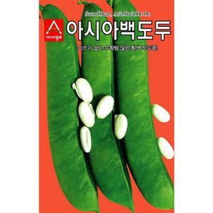 작두콩 백도두 씨앗 흰색 작두종자 종자 종묘 씨