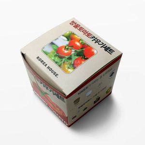 방울토마토 키우기 세트 5P 식물 재배 씨앗 자연교육 방울토마토키우기 화분키우기 식물키우기