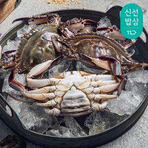 [품질보장] 더신선 태안 자연산 알배기 활 암꽃게 1kg 4-5미 / 알+살수율 80%내외