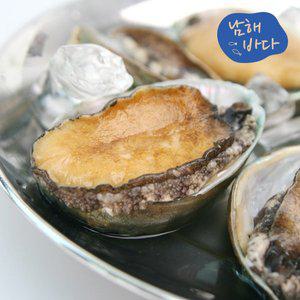 [남해바다] 전복 1kg(15미 내외)
