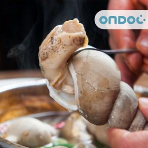 [온도씨]국내산 동해안 통 백골뱅이 2kg(중-대/40-60미)