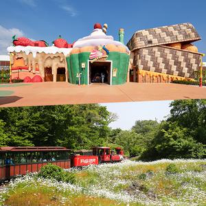 [제주] 에코랜드+신화테마파크 싱글라이드 (가볼만한곳/인기관광지/자유여행/가족/친구/연인/아이와함께/테마파크/이색체험/브이패스/액티비티/신화월드)