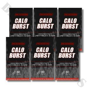 프로뉴트리션 칼로버스트 400mg x 60정 6박스 3개월분