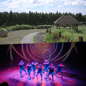 [제주] 아트서커스+산굼부리 (가볼만한곳/관광/제주투어/자유여행/가족/친구/연인/아이와함께/테마파크/이색체험/브이패스/액티비티)