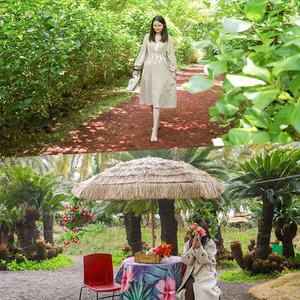 [제주] 에코랜드+상가리야자숲 (가볼만한곳/관광/제주투어/자유여행/가족/친구/연인/아이와함께/테마파크/이색체험/브이패스/액티비티)