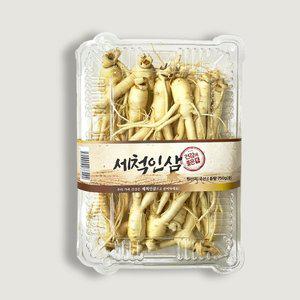 [청솔]세척 인삼 난발 750g 국산 인삼 실속형, 바로 쓰는 흙 없는 건강 뿌리채소