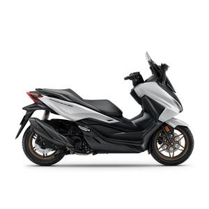 혼다 FORZA350 포르자350 2025년식 정식수입