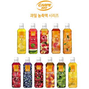 까르페 과일음료 베이스 망고 외 9종 / 대호 액상 1000ml x 1병