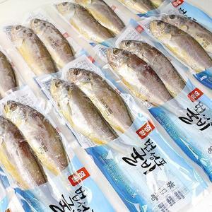 해림참바다 영광 법성포 진공포장굴비(20미)17~19cm(1.3kg내외)