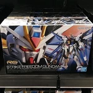 RG 스트라이크 프리덤 건담 ZGMF X20A