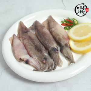 미각기행 손질 화살오징어 한치 1kg(30~50미 내외)