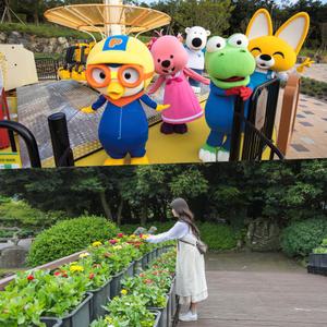 [제주] 뽀로로테마파크 종합이용권+메이즈랜드 (가볼만한곳/관광/제주투어/자유여행/가족/친구/연인/아이와함께/테마파크/이색체험/브이패스/액티비티)