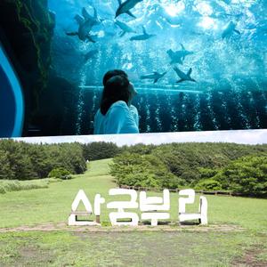 [제주] 아쿠아플라넷+산굼부리(5/1~6/30사용가능) (가볼만한곳/관광/제주투어/자유여행/가족/친구/연인/아이