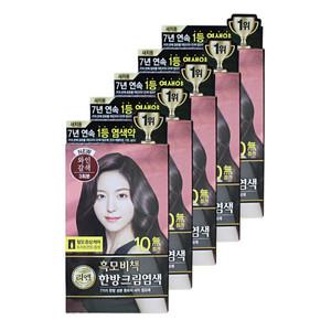 엘지 리엔 염색약 흑모비책 한방크림염색 와인갈색 5개 헤어 염색