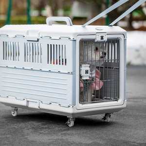 캐리어 강아지 고양이 켄넬 트렌드 이동장 접이식 화이트 그레이