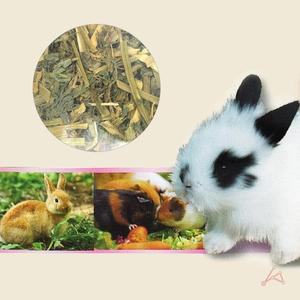 토끼사료 애완 토끼 건초 간식 500g