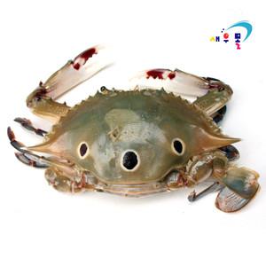 삼점 꽃게 3kg 숫꽃게 암꽃게