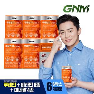루테인 11 6박스 / 비타민 6종 + 미네랄 4종 눈건강 비타민B 아연 엽산