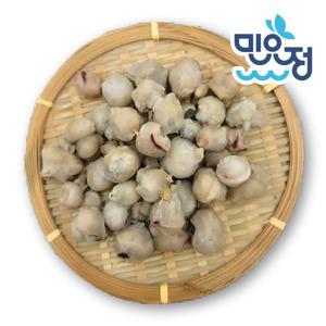 민요정 손질 오징어입 이빨제거 순살 버터 오징어입 250g