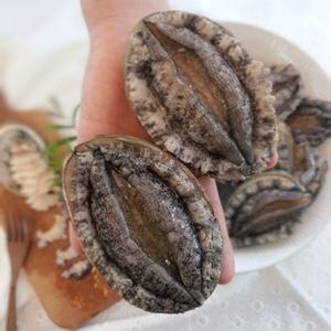 직접키운 완도전복 명품 특대1kg 10미 팔팔씨푸드 가정용 횟감용 찜용 꼬마전복