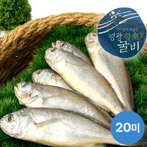 [연애]영광법성포 함초진공굴비 20미(20~22cm내외 마리당80g)
