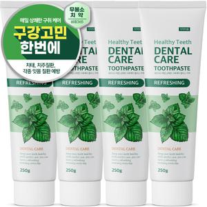 쉼표365 매일 상쾌한 구취케어 대용량 치약 250g x 4개입 잇몸케어 무불소 입냄새제거 치태제거