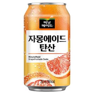 미닛메이드 자몽에이드 탄산 355ml x 48캔