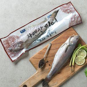 두툼한 여수 통민어(대) 300g x 3팩